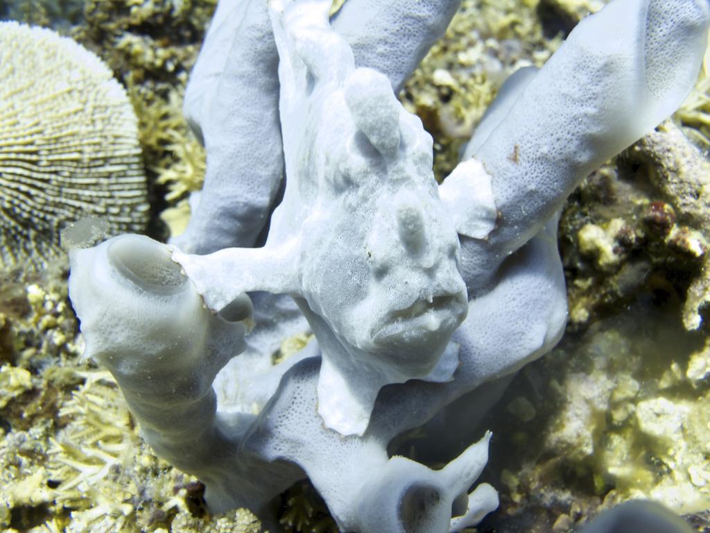 Breathe Villa Meno Gili Meno Ngoại thất bức ảnh